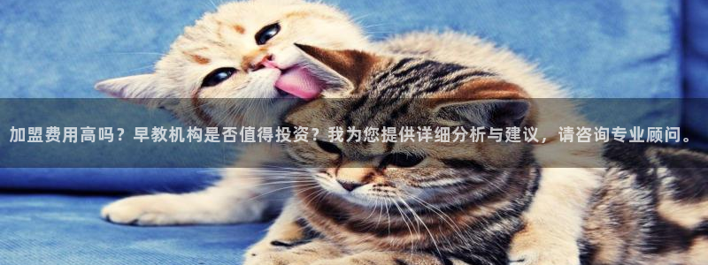 天顺娱乐主管是谁：加盟费用高吗？早教机构是否值得投资？我为您提供详细分析与建议，请咨询专业顾问。