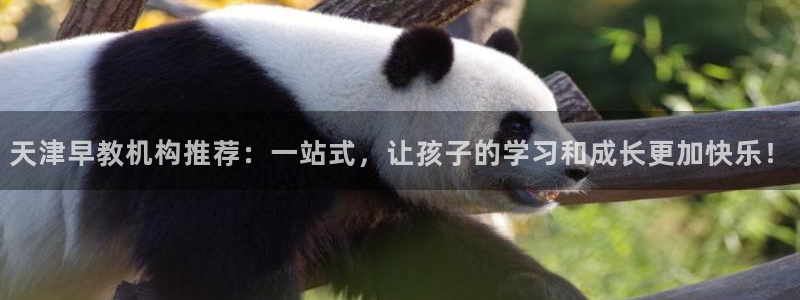 天顺娱乐z.主管57661：天津早教机构推荐：一站式，让孩子的学习和成长更加快乐