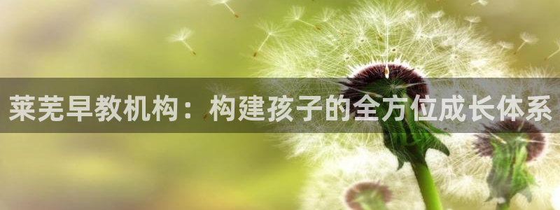 天顺娱乐木943994：莱芜早教机构：构建孩子的全方位成长体系