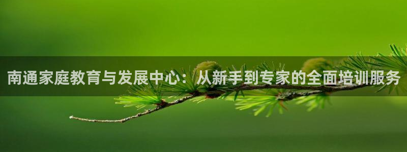 天顺娱乐必72 559：南通家庭教育与发展中心：从新手到专家的全面培训服务