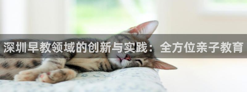 天顺娱乐木943994：深圳早教领域的创新与实践：全方位亲子教育