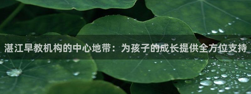 天顺娱乐偻70648：湛江早教机构的中心地带：为孩子的成长提供全方位支持