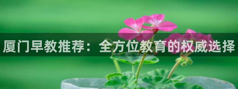 天顺娱乐颗943994：厦门早教推荐：全方位教育的权威选择