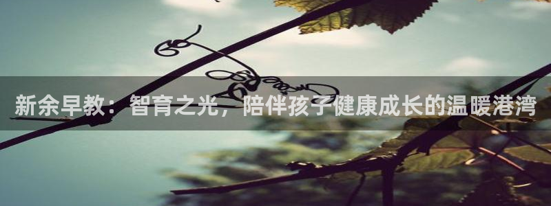 天顺娱乐求v33300：新余早教：智育之光，陪伴孩子健康成长的温暖港湾