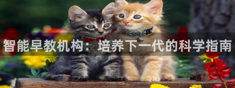 天顺娱乐泻675138：智能早教机构：培养下一代的科学指南
