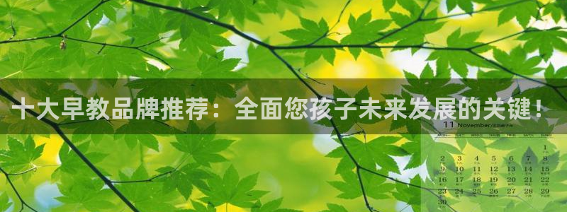 天顺娱乐治兽秦奋83334j：十大早教品牌推荐：全面您孩子未来发展的关键！
