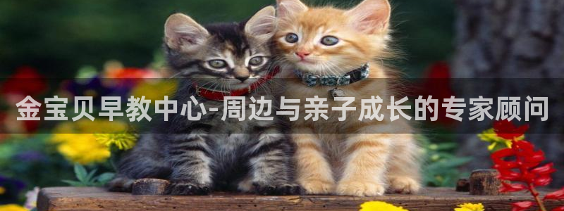 天顺娱乐奈943994：金宝贝早教中心-周边与亲子成长的专家顾问