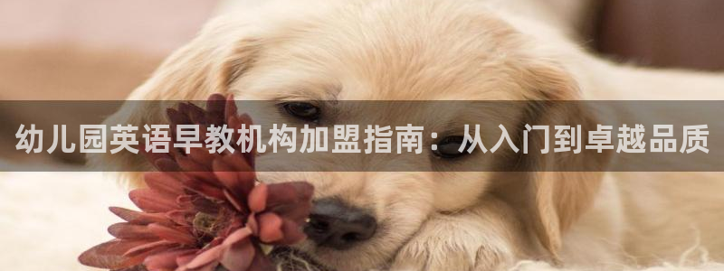 天顺娱乐段18 888：幼儿园英语早教机构加盟指南：从入门到卓越品质