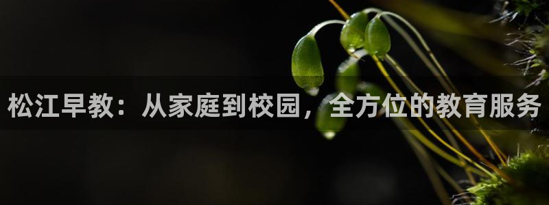 天顺娱乐主管下原判官333OO：松江早教：从家庭到校园，全方位的教育服务
