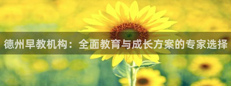 天顺娱乐丩金手指专业2：德州早教机构：全面教育与成长方案的专家选择