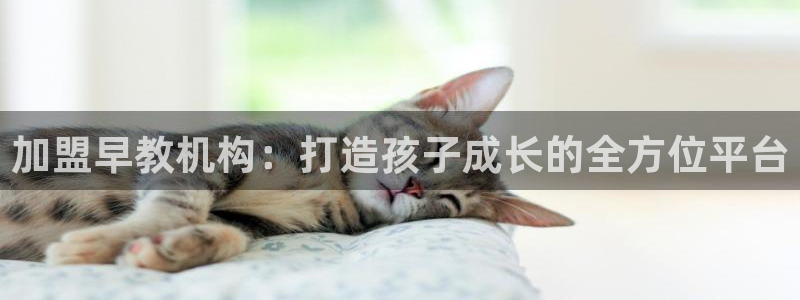 天顺娱乐舞厅地址电话：加盟早教机构：打造孩子成长的全方位平台