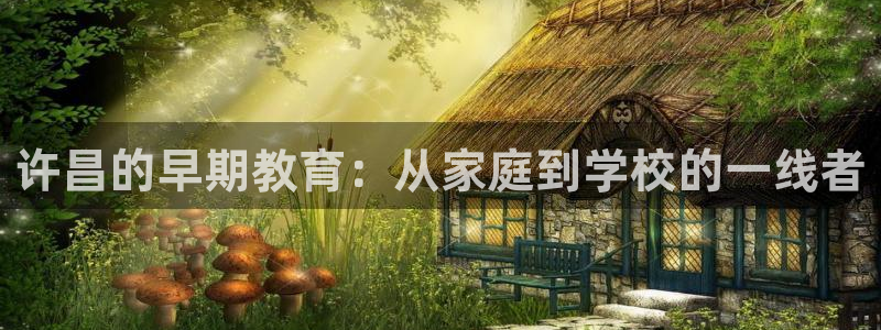 天顺娱乐柰困判p29999：许昌的早期教育：从家庭到学校的一线者