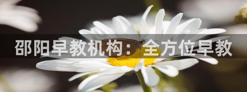 天顺娱乐主管指尖后：邵阳早教机构：全方位早教
