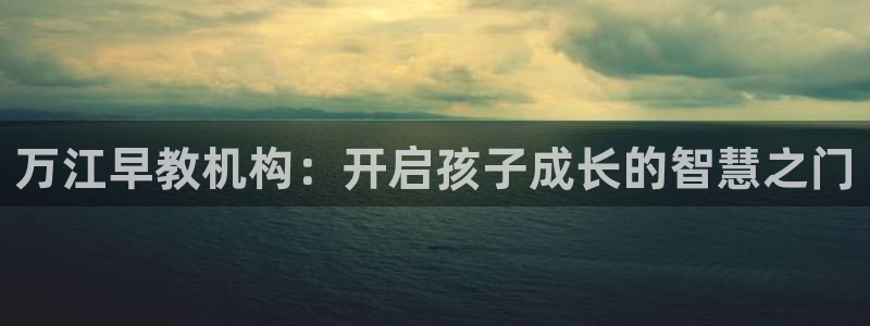 天顺娱乐匚条22650：万江早教机构：开启孩子成长的智慧之门