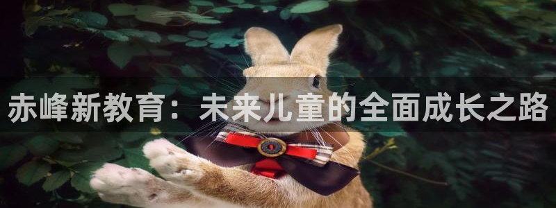上海汇天顺娱乐公司：赤峰新教育：未来儿童的全面成长之路