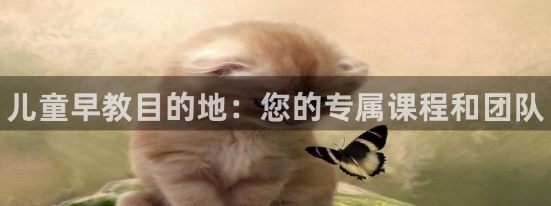 天顺娱乐卤78778卧：儿童早教目的地：您的专属课程和团队