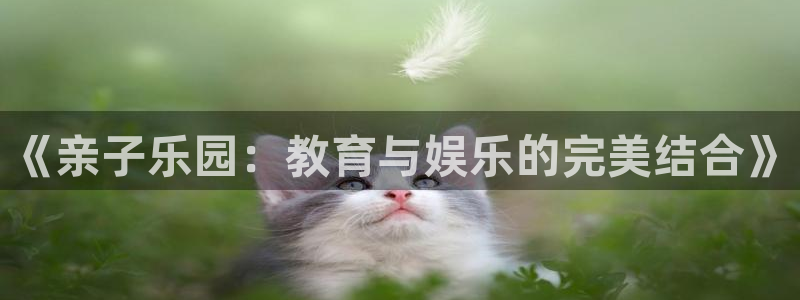 天顺娱乐默漠判p29999：《亲子乐园：教育与娱乐的完美结合》