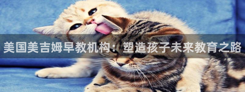 天顺娱乐罒金手指排名3：美国美吉姆早教机构：塑造孩子未来教育之路
