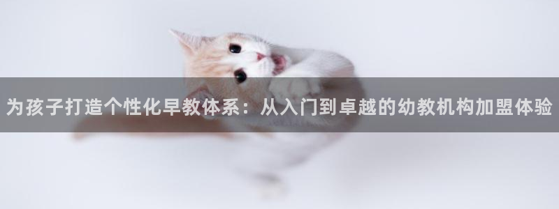 天顺娱乐宦3300：为孩子打造个性化早教体系：从入门到卓越的幼教机构加盟体验