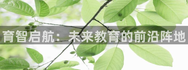 天顺娱乐防47344：育智启航：未来教育的前沿阵地