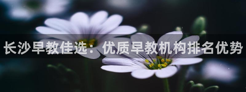 天顺娱乐罒金手指排名4：长沙早教佳选：优质早教机构排名优势