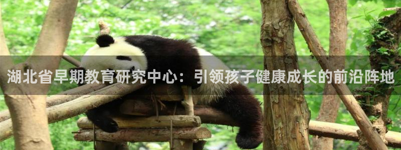 天顺娱乐开发商：湖北省早期教育研究中心：引领孩子健康成长的前沿阵地