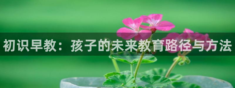 天顺娱乐度70648：初识早教：孩子的未来教育路径与方法