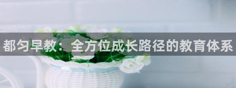 天顺娱乐土70648：都匀早教：全方位成长路径的教育体系