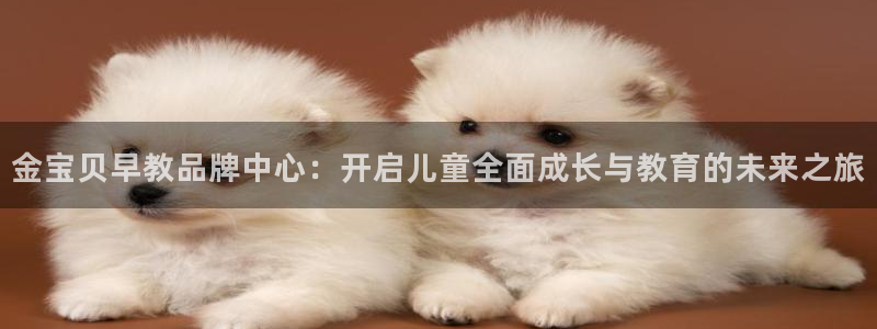 天顺娱乐榔78778：金宝贝早教品牌中心：开启儿童全面成长与教育的未来之旅