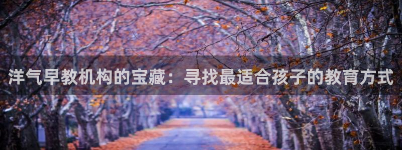 天顺娱乐毫78778：洋气早教机构的宝藏：寻找最适合孩子的教育方式