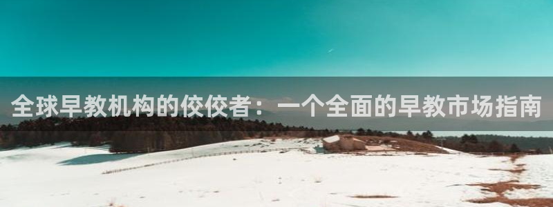 天顺娱乐茸：全球早教机构的佼佼者：一个全面的早教市场指南