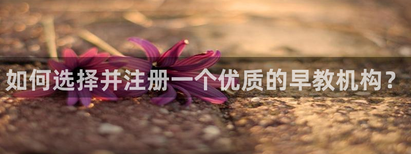 天顺娱乐xq云q速刂捷：如何选择并注册一个优质的早教机构？