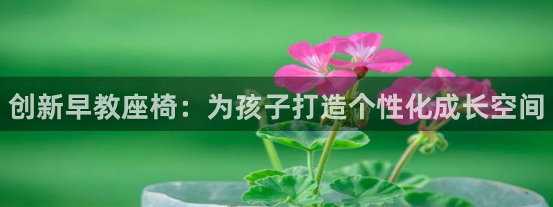 天顺娱乐奇士359941L：创新早教座椅：为孩子打造个性化成长空间