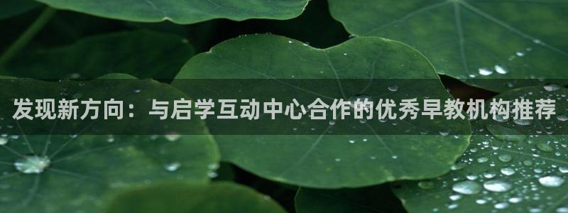 天顺娱乐认为 wx678 com：发现新方向：与启学互动中心合作的优秀早教机构推