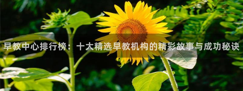 天顺娱乐q53553：早教中心排行榜：十大精选早教机构的精彩故事与成功秘诀