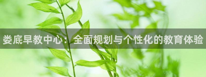 天顺娱乐赖wx15 vip：娄底早教中心：全面规划与个性化的教育体验