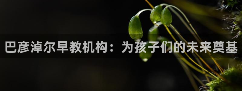 天顺娱乐复943994：巴彦淖尔早教机构：为孩子们的未来奠基