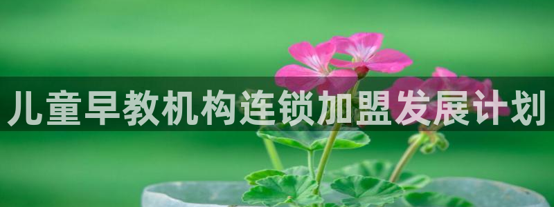 天顺娱乐代理：儿童早教机构连锁加盟发展计划