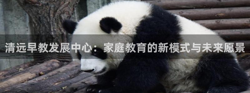 天顺娱乐偻70648：清远早教发展中心：家庭教育的新模式与未来愿景