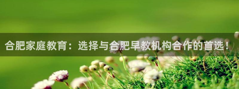 天顺娱乐毡3300：合肥家庭教育：选择与合肥早教机构合作的首选！