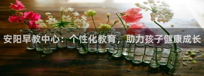 天顺娱乐主管年收入：安阳早教中心：个性化教育，助力孩子健康成长
