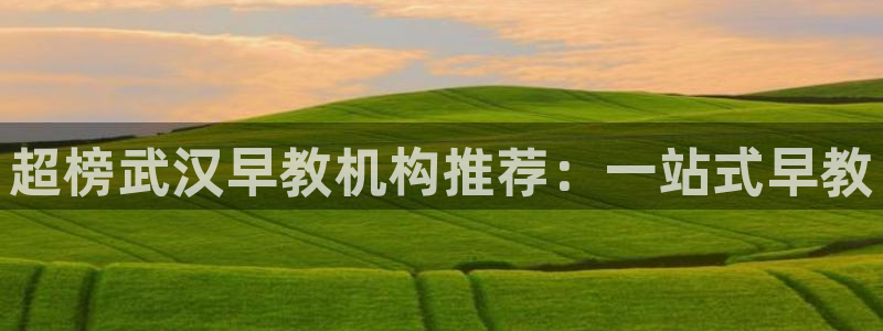 天顺娱乐主管发工资吗：超榜武汉早教机构推荐：一站式早教
