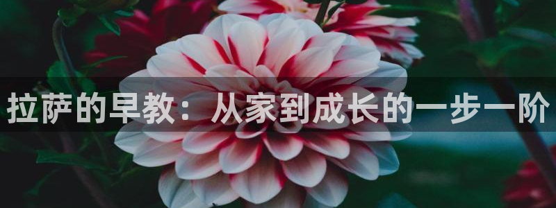 天顺娱乐网址：拉萨的早教：从家到成长的一步一阶