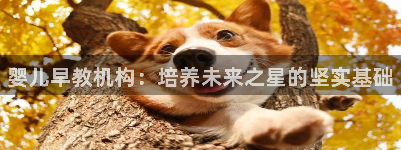 天顺娱乐舞厅：婴儿早教机构：培养未来之星的坚实基础