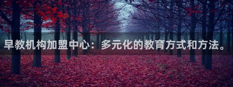 天顺娱乐卤78778卧：早教机构加盟中心：多元化的教育方式和方法。