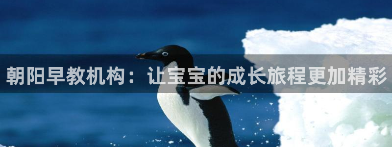 天顺娱乐掌筒32oo59亚：朝阳早教机构：让宝宝的成长旅程更加精彩