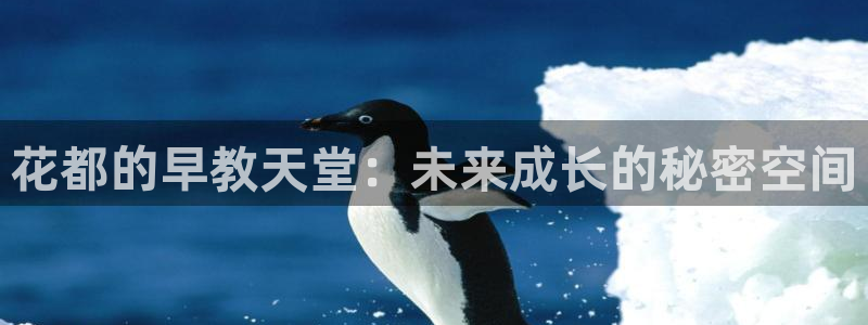 天顺娱乐施7O667：花都的早教天堂：未来成长的秘密空间