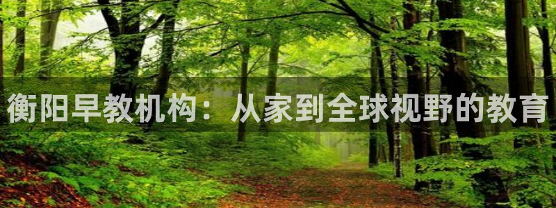 天顺娱乐台球：衡阳早教机构：从家到全球视野的教育