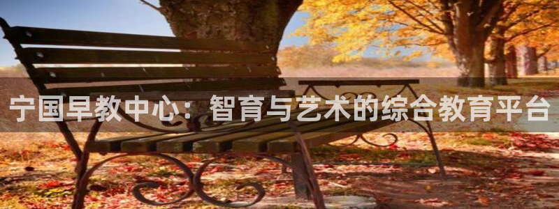 天顺娱乐主管可靠吗：宁国早教中心：智育与艺术的综合教育平台