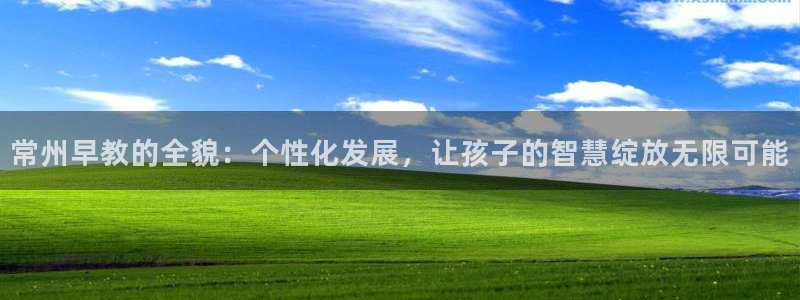 天顺娱乐负责人的品质p29999：常州早教的全貌：个性化发展，让孩子的智慧绽放无
